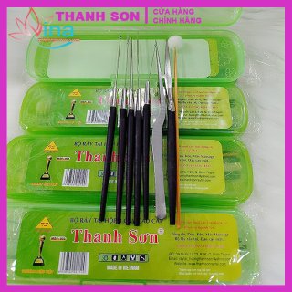 Bộ dụng cụ lấy rái tai Thanh Sơn - 8 cây