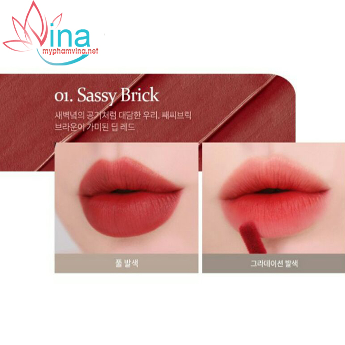 SON KEM MOMEII PIT A PAT VELVET TINT SỐ 01 - SASSY BRICK